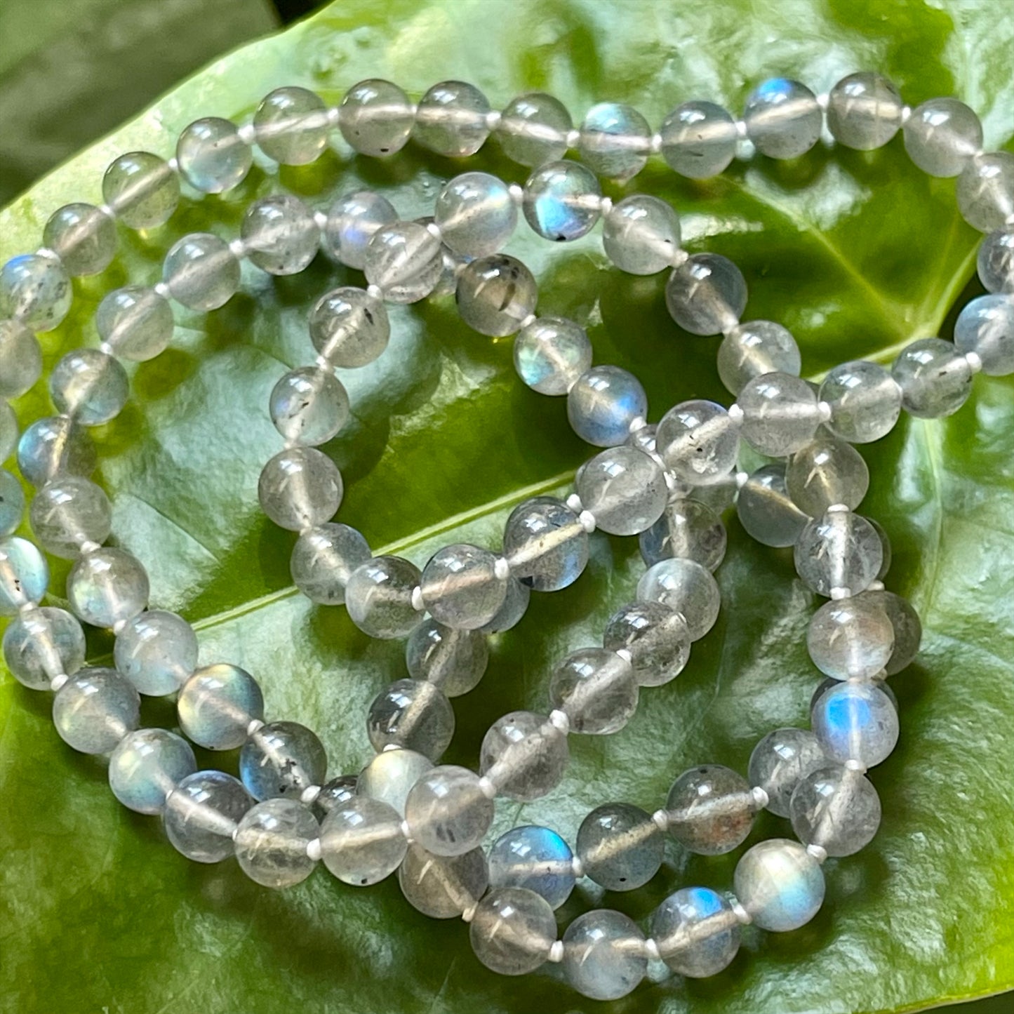 Crystal healing Labradorite necklace known for energy protection laying on a leaf