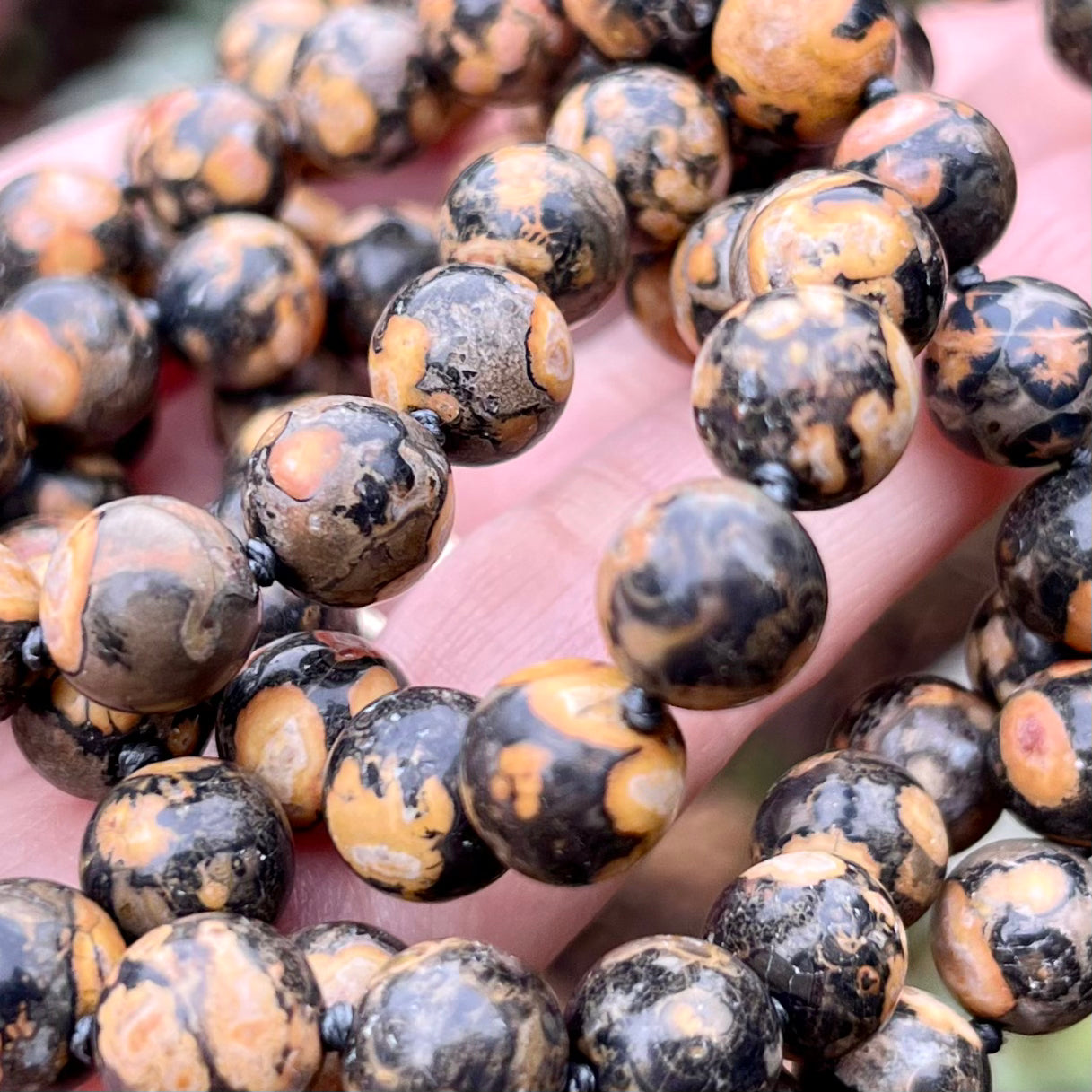 Leopardskin Jasper