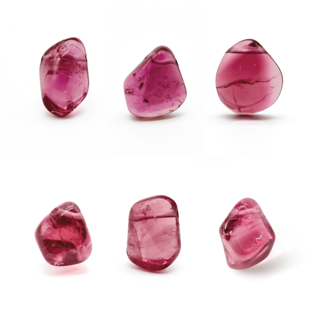 TAENIA PINK タエニア ピンク TAENIA PINK タエニア ピンク
