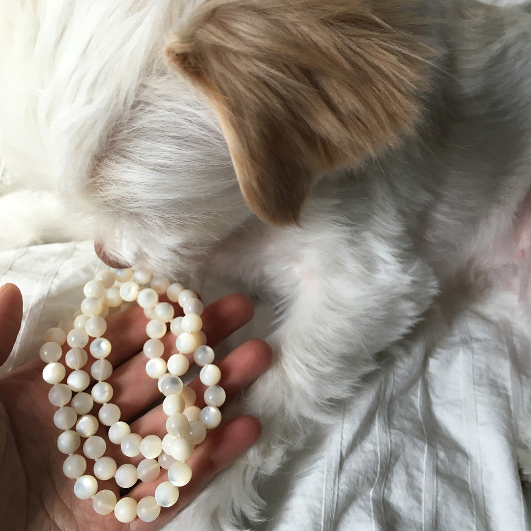 A dog laying next to a crystal healing Mother of Pearl necklace for energy protection and emotional fulfillment